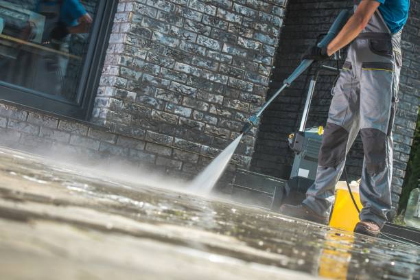 Best Residential House Exterior Washing  in Brogden, NC
